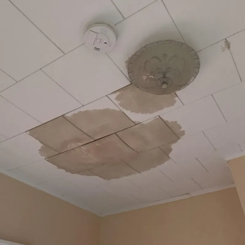 Ceiling Water Damage Repair in Byng, OK