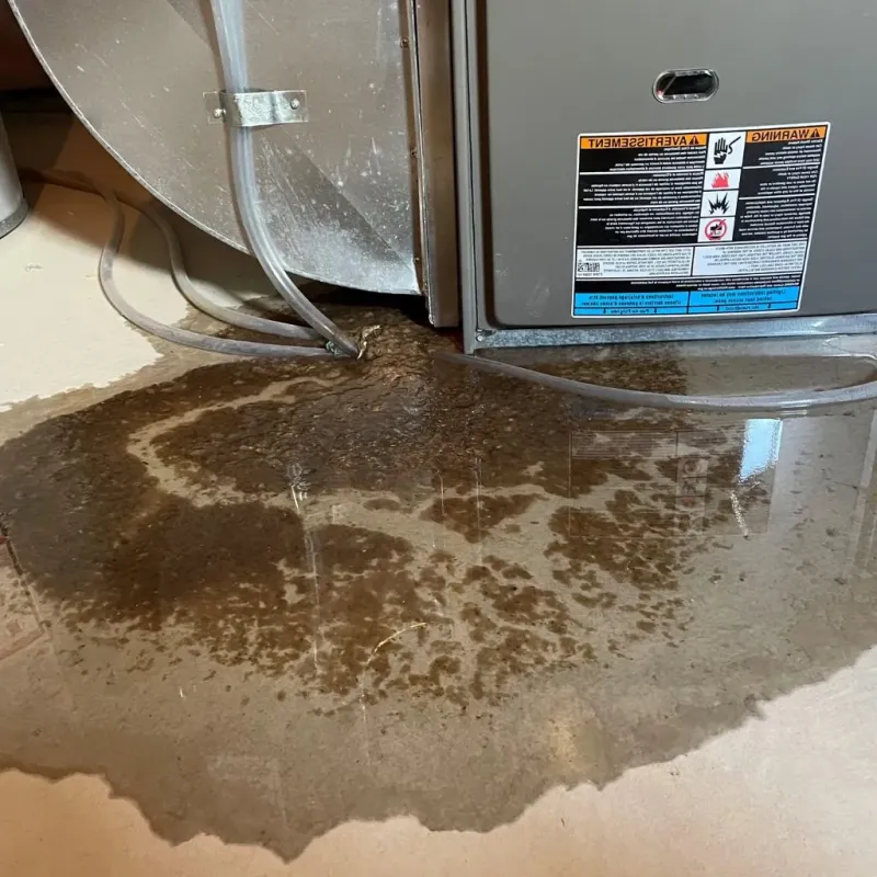 Pipe Burst and Leak Restoration in Byng, OK
