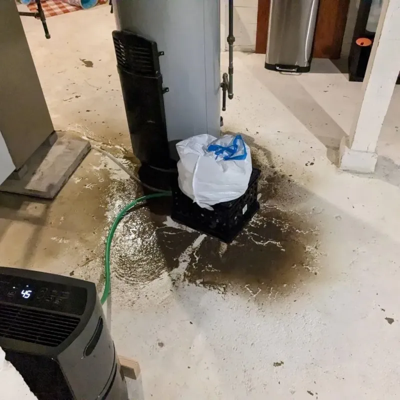 Sewage Backup Cleanup Service in Byng, OK